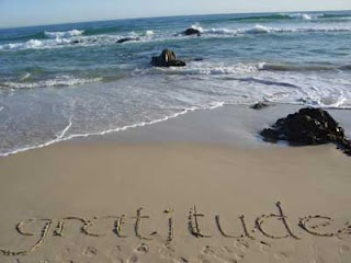 Relationship Help: Gratitude is a Powerful Force