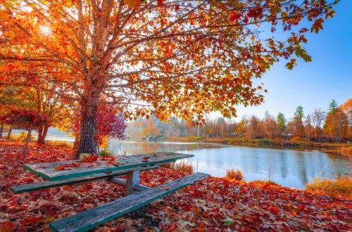 Is “Autumn Anxiety” Real? Why You Feel Anxious When Summer Ends